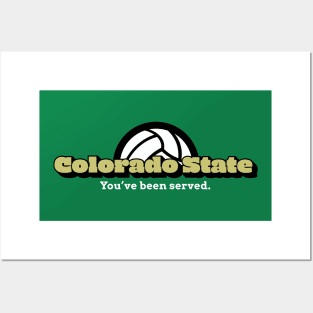 Show Your Support for Colorado State Volleyball! Posters and Art